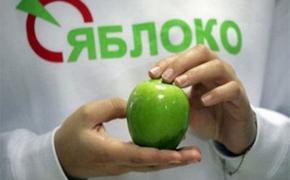Единоросс призвал правоохранителей проверить меморандум "Яблока"