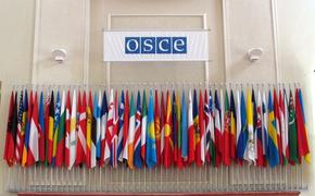 ОБСЕ установила связь с пропавшими на Украине наблюдателями