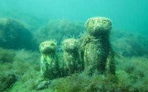 На дне Черного моря в Судаке завелись подводные суслики