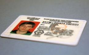 На сайте ГИБДД можно проверить подлинность водительских прав