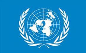 ООН  рассмотрит данные о применении Киевом запрещенного вооружения