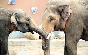 Мы помним вас маленькими