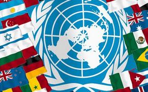 СБ ООН согласовал проект резолюции по крушению "Боинга"