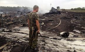 Поиски тел погибших в авиакатастрофе в Донецкой области завершены