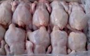 Бразилия готова заменить США на российском рынке мяса птицы