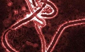 В Румынии госпитализирован мужчина с подозрением на Эбола