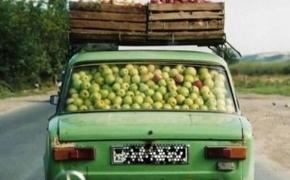 Крым готовится завалить Россию яблоками