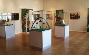 Выставки искусства Татарстана открылись в Москве