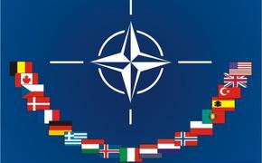 НАТО выделит Украине 15 млн долларов на военные реформы