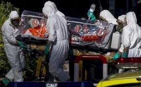 Россия закончила создание собственной вакцины против Эболы