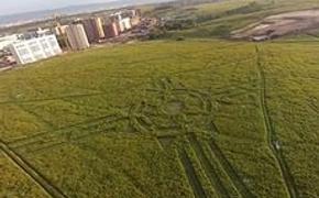 Инопланетяне нарисовали круги и на красноярском поле (ФОТО)