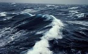 В акватории реки Амур затонуло судно с 380 тоннами груза на борту