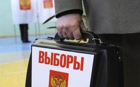 Чуров обратился к Пучнину по поводу нарушений на досрочном голосовании