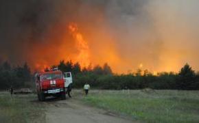 Лесной пожар в Тарасовском районе Ростовской области потушен