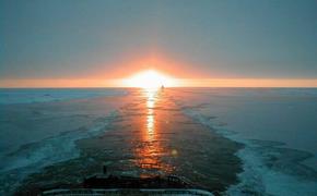 Две компании получили права на разработку новых участков в Арктике