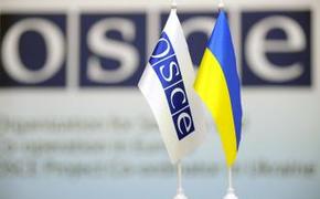 ОБСЕ проведет видеоконференцию с участием Киева, ЛНР И ДНР
