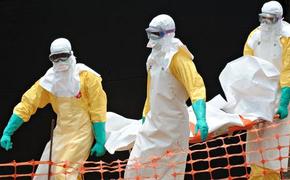 ВОЗ: скорость распространения вируса Эбола выросла вдвое