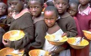 ООН: число голодающих в мире за последние 10 лет существенно сократилось