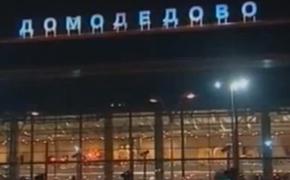 В аэропорту Домодедово пассажир погиб, упав с лестницы в зоне выл