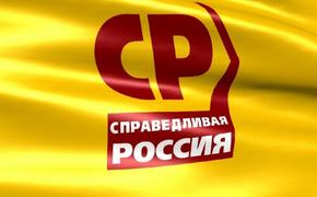 «Справедливая Россия» планирует работать с властями ДНР и ЛНР