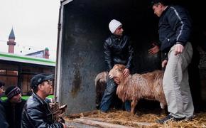В Москве запрещен забой жертвенных животных на Курбан-байрам