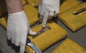 В Петербурге сына бывшего министра Украины отпустили под залог 1,5 млн рублей