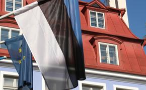 Эстония выдает пятилетние визы