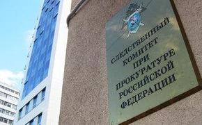 СКР: обыски у Марии Гайдар прошли по делу о хищении средств СПС