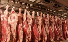 Роспотребнадзор усилил контроль за мясом из Германии