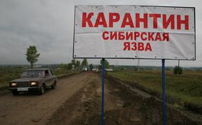 Суд огласил приговор жителю Татарстана за сибирскую язву