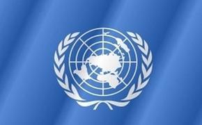 ООН приняла резолюцию о сотрудничестве с СНГ