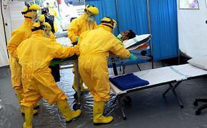 Все об Эболе: возможно ли заражение в России?