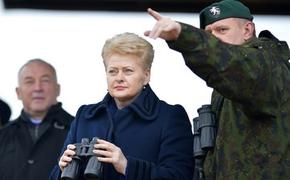 Литва приравняла Россию к «Аль-Каиде»