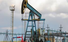 WP: Встреча ОПЕК не приведет к сокращению добычи нефти