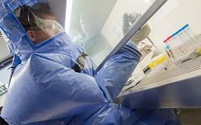 Вакцина против вируса Эбола успешно прошла клинические испытания в США
