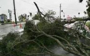 Число пострадавших при шторме в Брисбене приблизилось к 40
