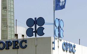 Решение ОПЕК удешевило нефть на пять процентов