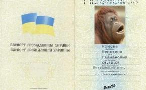 Украинские уголовники скупают у крымчан жизни