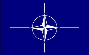 Бумажные силы политического реагирования НАТО