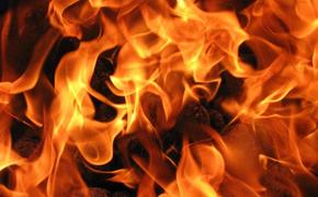 В Ростове пять человек сгорели заживо в жилом доме