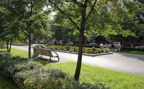 В Петербурге на месте планировавшегося Театра Пугачевой будет сквер