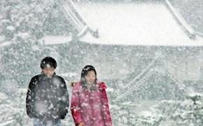 В Японии жертвами снегопадов стали пять человек