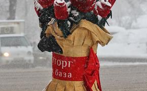 В Москве и Подмосковье ожидается снег и до 5 градусов мороза