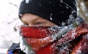 К концу недели в Москву придут зимние морозы