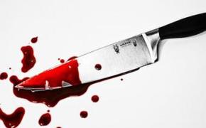В Воронежской области подросток отобрал нож и зарезал грабителя