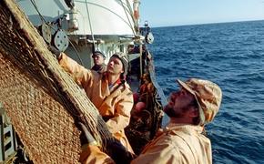 Есть первые уловы крымских рыбаков в наступившем году