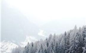 Во Франции  при сходе лавины в Альпах погибли 6 опытных горнолыжников