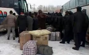 Более четырех тысяч украинских беженцев трудоустроены в Курской области