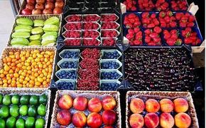 Минсельхоз: в России нехватка фруктов и ягод