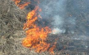 Житель Эстонии, избавляясь от сухой травы, сжег себя